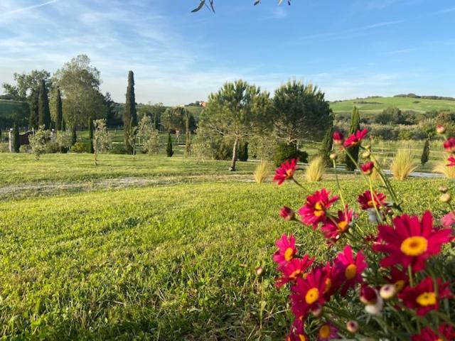 Bed And Breakfast Casale Del Sole Castellina Marittima Kültér fotó