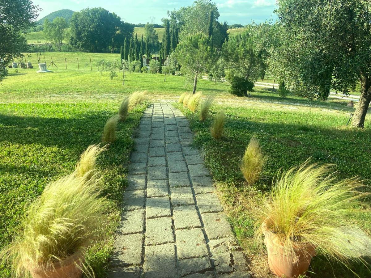 Bed And Breakfast Casale Del Sole Castellina Marittima Kültér fotó